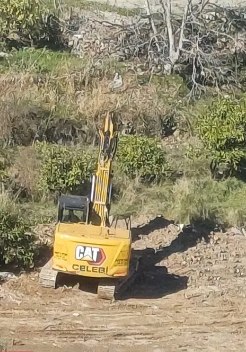 Foto - CHP’li belediyenin ağaç katliamına bakanlık dur dedi