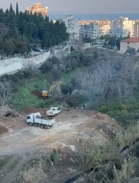 CHP’li belediyenin ağaç katliamına bakanlık dur dedi