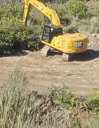 Foto - CHP’li belediyenin ağaç katliamına bakanlık dur dedi