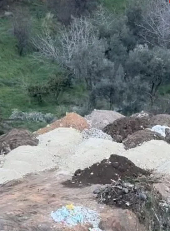 Foto - CHP’li belediyenin ağaç katliamına bakanlık dur dedi