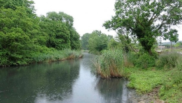 Foto - CHP'li Ekrem İmamoğlu yönetimindeki İBB Riva'ya zehir akıtıyor 