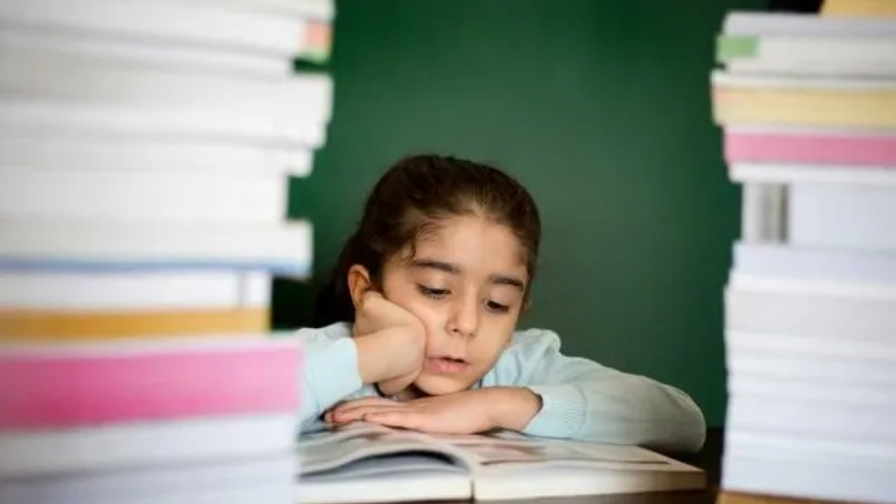 Foto - CHP’li gazeteci Deniz Zeyrek’in MEB yalanı elinde patladı! Milli Eğitim Bakanı Yusuf Tekin hedefte