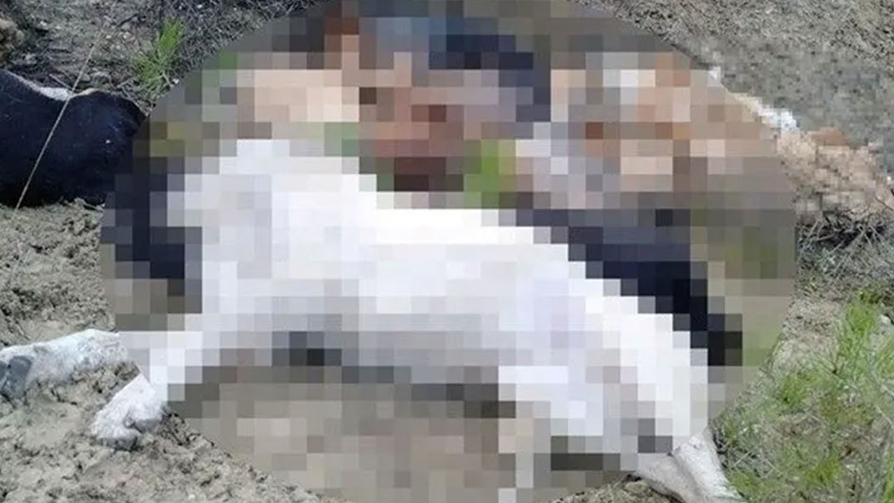 Foto - CHP’li Melek Mızrak Subaşı katliam görüntülerini bakın nasıl sildirmiş