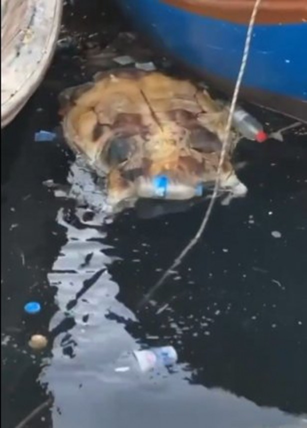 Foto - CHP'li Tunç Soyer'in seçim vaadi yine yalan oldu... Son hali içler acısı