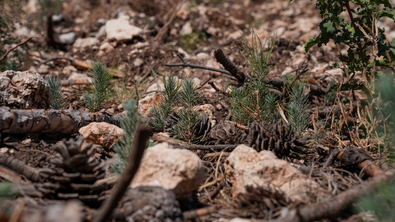 Foto - CHP’liler yine rezil kepaze oldu… Kemalistler bu haberi gizlemeye çalışıyor!