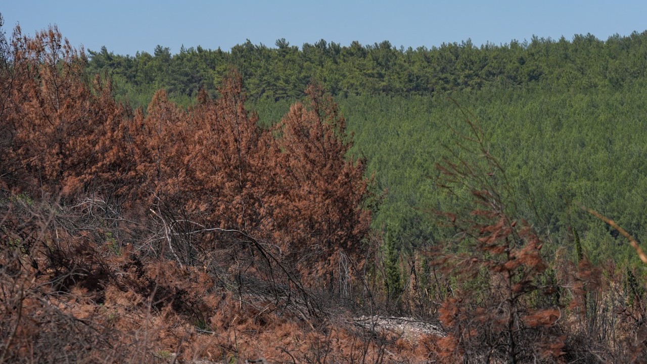 Foto - CHP’liler yine rezil kepaze oldu… Kemalistler bu haberi gizlemeye çalışıyor!