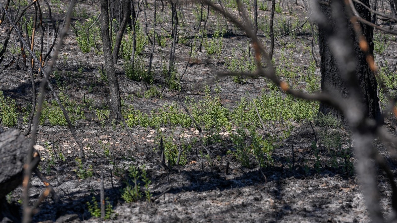 Foto - CHP’liler yine rezil kepaze oldu… Kemalistler bu haberi gizlemeye çalışıyor!