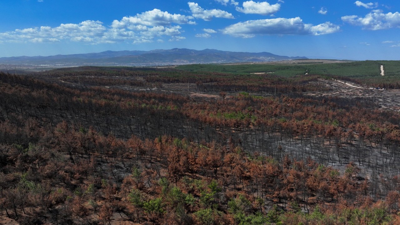 Foto - CHP’liler yine rezil kepaze oldu… Kemalistler bu haberi gizlemeye çalışıyor!