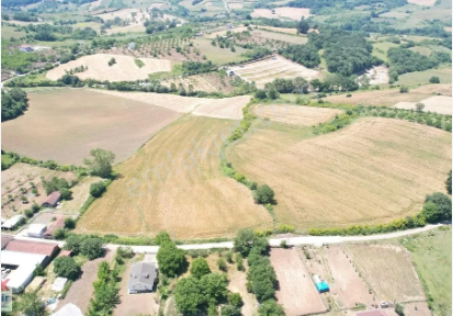 Foto - CHP'nin elinde olan o ilimizde arsa ve tarlalar yabancılara satılıyor! Kapış kapış almaya başladılar