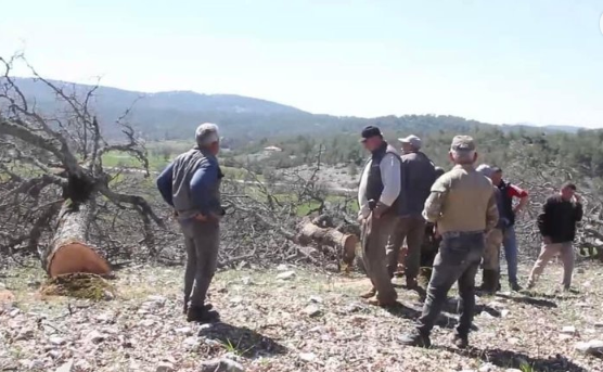 Foto - CHP'nin ikiyüzlülüğü! Ağaç katliamını yapan yandaş olunca sözde çevreciler suspus