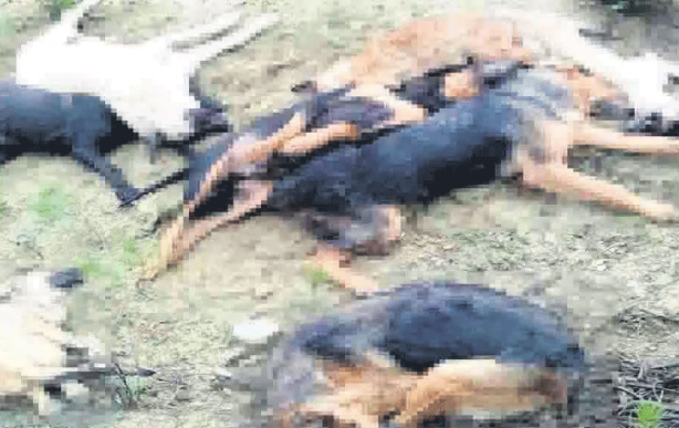 Foto - CHP’nin utanç veren Bilecik karnesi! Rüşvet, yolsuzluk, susuzluk ve kanalizasyon rezaleti