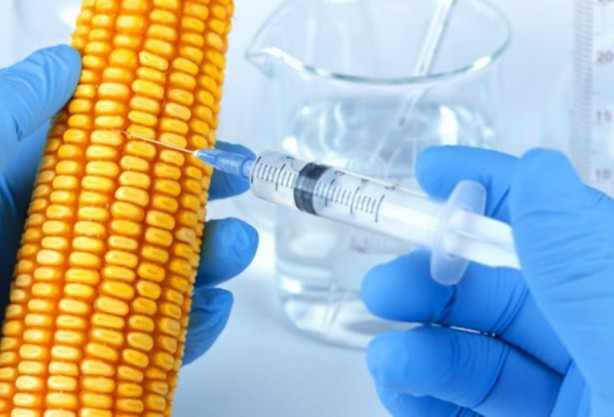 Foto - CIA 15 yıl önce 2015 yılının dünyasını böyle gördü