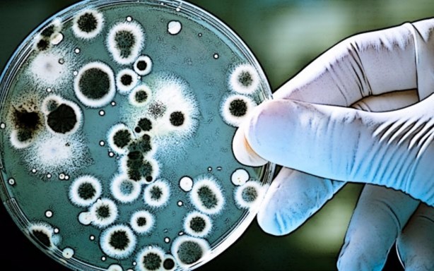 Foto - CIA 15 yıl önce 2015 yılının dünyasını böyle gördü