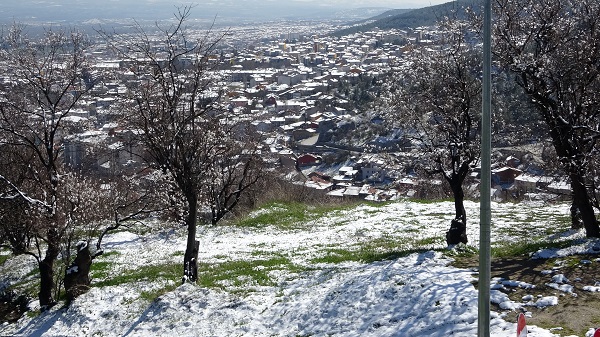 Foto - Çiçek açan ağaçlar beyaz örtüyle süslendi