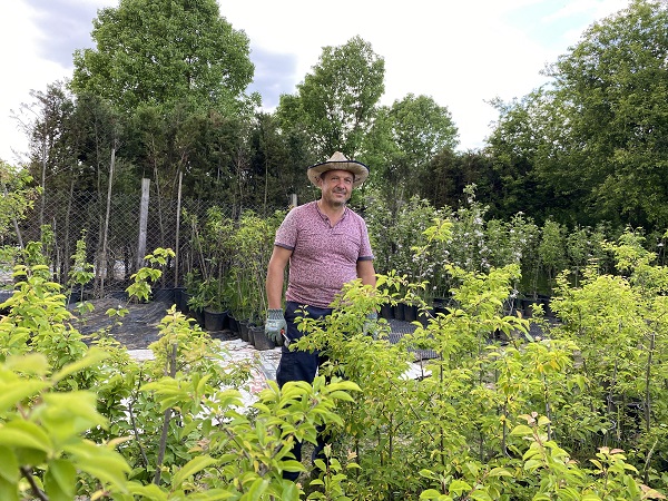 Foto - Çiçekler akşam mı sulanır?
