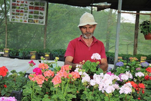 Foto - Çiçekler akşam mı sulanır?