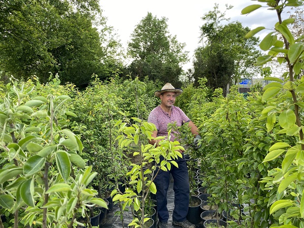 Foto - Çiçekler akşam mı sulanır?