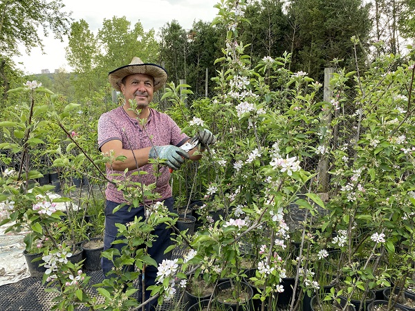 Foto - Çiçekler akşam mı sulanır?