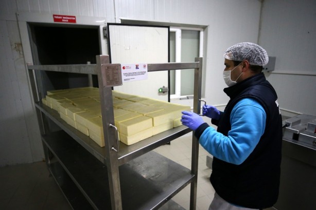 Foto - Çiftçi birliği, süt ürünleri gelirini 3 senede 4 kat artırdı