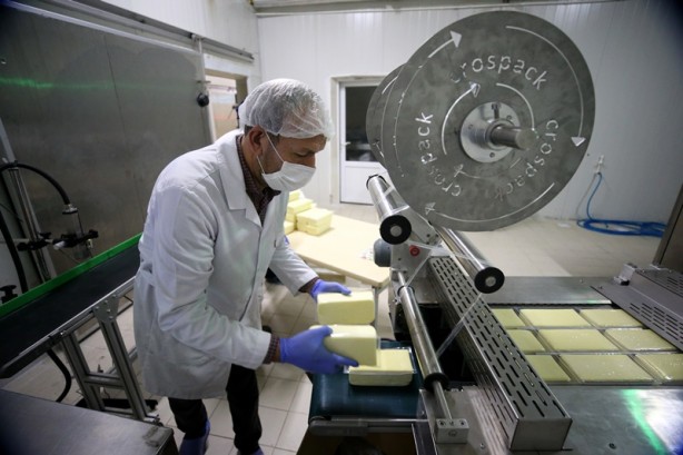 Foto - Çiftçi birliği, süt ürünleri gelirini 3 senede 4 kat artırdı