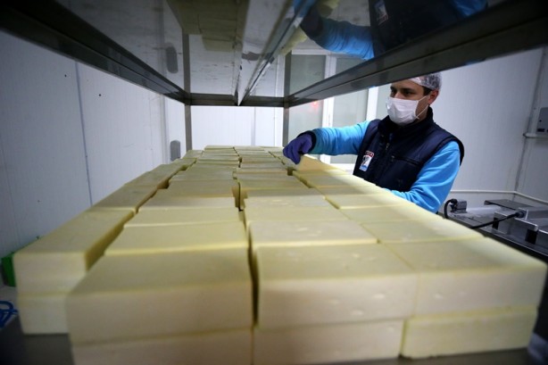 Foto - Çiftçi birliği, süt ürünleri gelirini 3 senede 4 kat artırdı