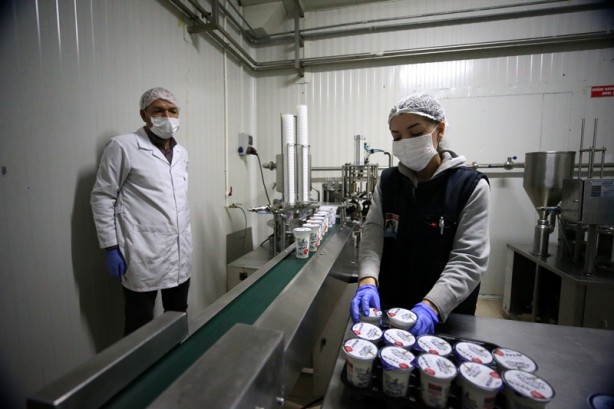 Foto - Çiftçi birliği, süt ürünleri gelirini 3 senede 4 kat artırdı