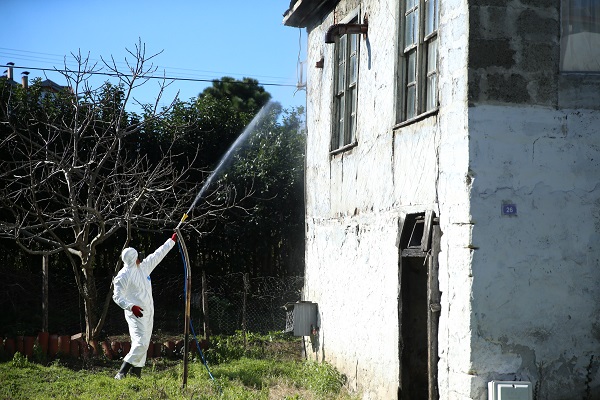 Foto - Çiftçi bu böcekten bıktı! 4 ayda 40 bin nokta ilaçlandı