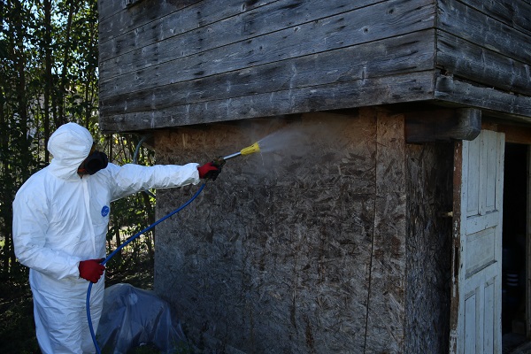 Foto - Çiftçi bu böcekten bıktı! 4 ayda 40 bin nokta ilaçlandı