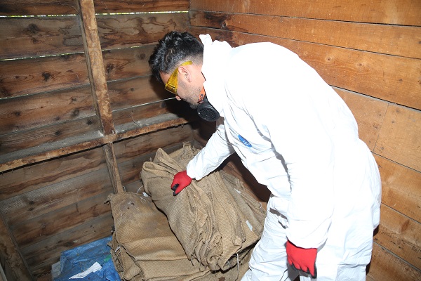 Foto - Çiftçi bu böcekten bıktı! 4 ayda 40 bin nokta ilaçlandı