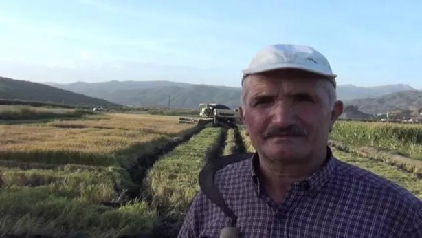 Foto - Çiftçi heyecanlandıran haberi aldı, pirinç toplamak için tarlasına koştu: ‘Beyaz altın’ geçim kaynağı hasadı...