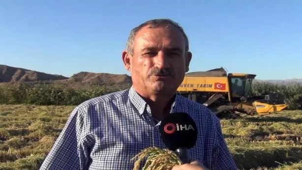 Foto - Çiftçi heyecanlandıran haberi aldı, pirinç toplamak için tarlasına koştu: ‘Beyaz altın’ geçim kaynağı hasadı...