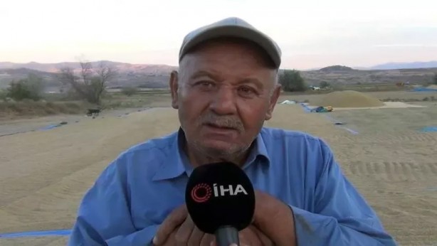 Foto - Çiftçi heyecanlandıran haberi aldı, pirinç toplamak için tarlasına koştu: ‘Beyaz altın’ geçim kaynağı hasadı...