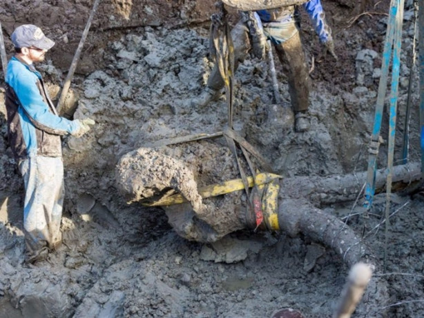 Foto - Çiftçi tarla sürerken bakın ne buldu!
