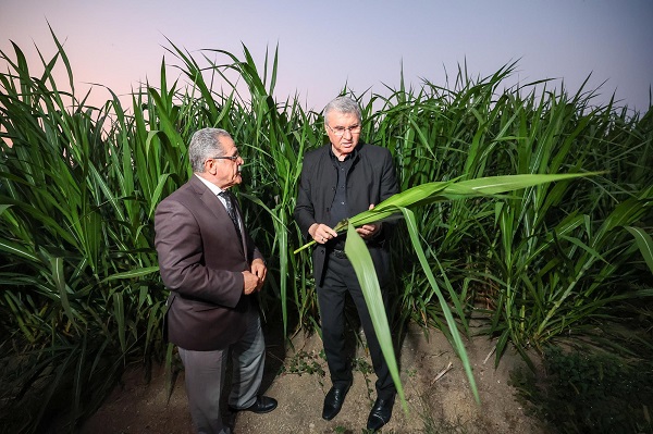 Foto - Çiftçiler için milat olacak! Maliyeti yarıya yarı düşürecek proje