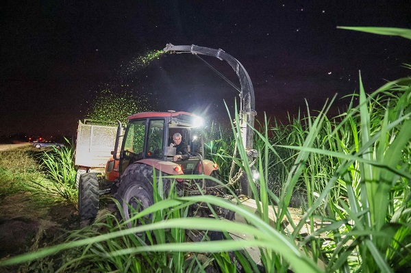Foto - Çiftçiler için milat olacak! Maliyeti yarıya yarı düşürecek proje