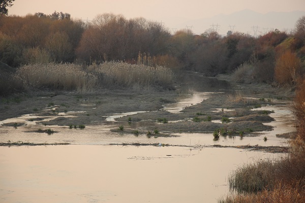 Foto - Çiftçiler kara kara düşünüyor! Bu yaz ne yapacağız?