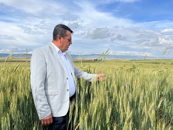 Foto - Çiftçiler kara kara düşünüyor! Son ayların korkulu rüyası