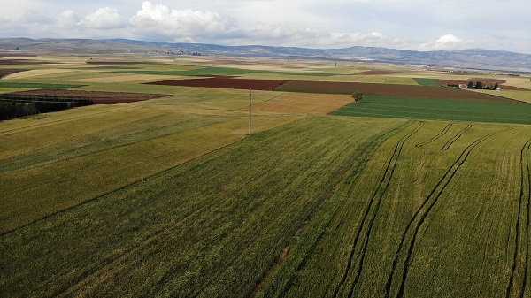 Foto - Çiftçiler kara kara düşünüyor! Son ayların korkulu rüyası