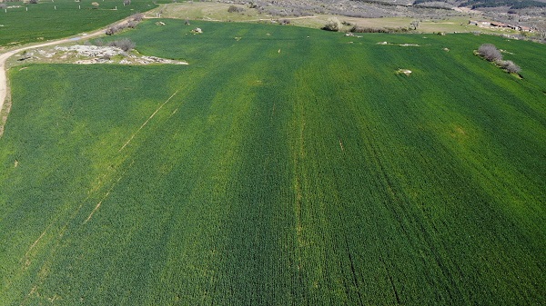 Foto - Çiftçiler korkulu rüyadan uyandı