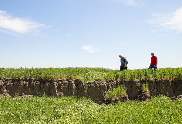Foto - Çiftçiler şaşkın! Yükseklik farkı 2 metre