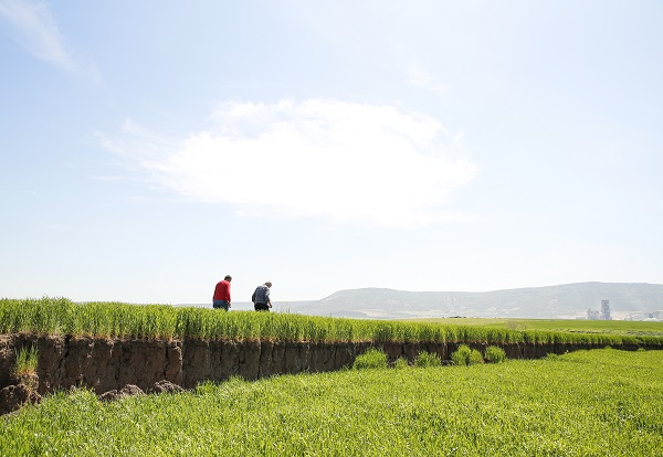Foto - Çiftçiler şaşkın! Yükseklik farkı 2 metre