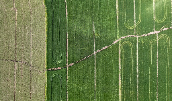 Çiftçiler şaşkın! Yükseklik farkı 2 metre