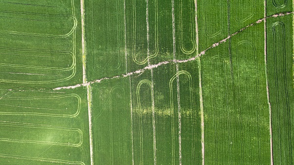 Foto - Çiftçiler şaşkın! Yükseklik farkı 2 metre