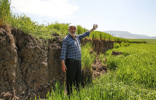 Foto - Çiftçiler şaşkın! Yükseklik farkı 2 metre