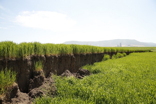 Foto - Çiftçiler şaşkın! Yükseklik farkı 2 metre