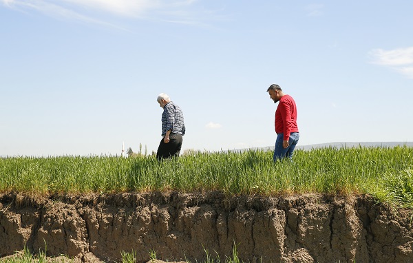 Foto - Çiftçiler şaşkın! Yükseklik farkı 2 metre
