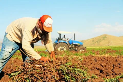 Foto - Çiftçilere destek başvuruları başlıyor!