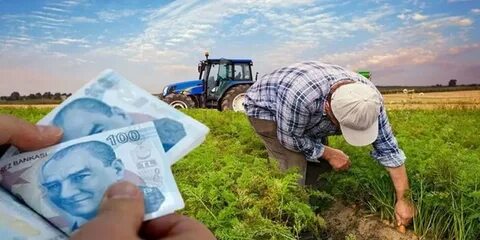 Foto - Çiftçilere destek başvuruları başlıyor!