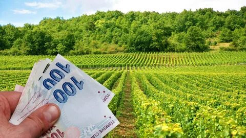 Çiftçilere destek başvuruları başlıyor!