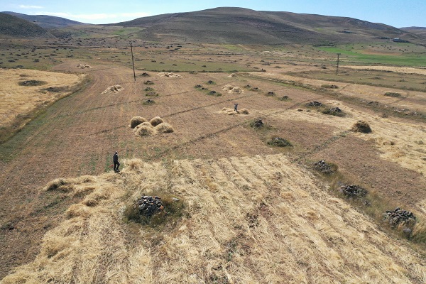 Foto - Çiftçilerin soğuk havaya karşı yarışı 